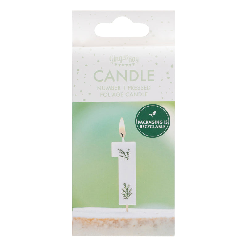 Leaf Foliage Number 1 Birthday Candle