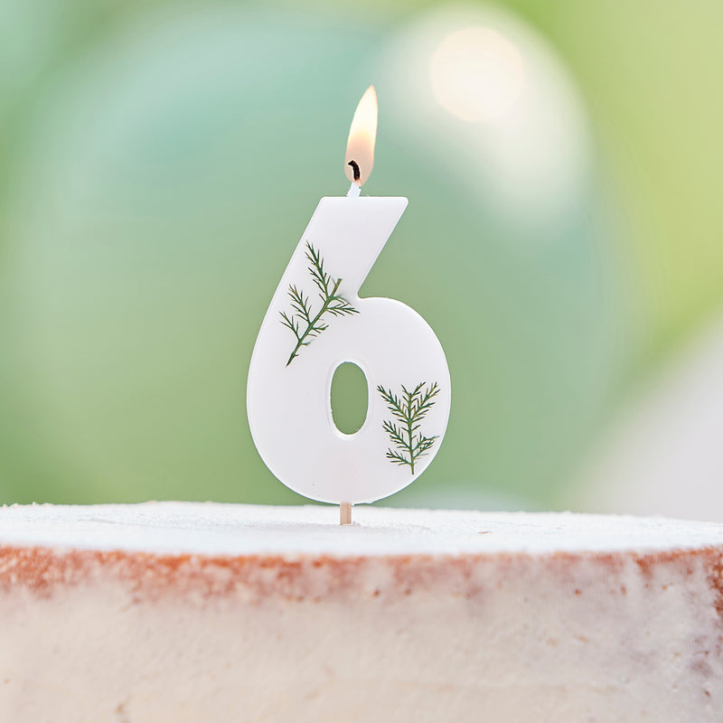 Leaf Foliage Number 6 Birthday Candle