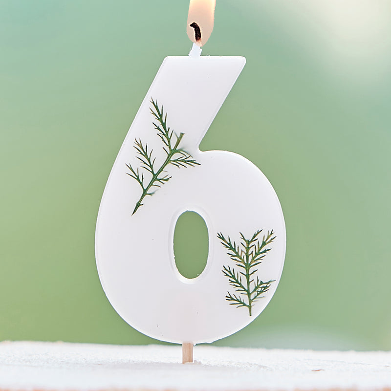 Leaf Foliage Number 6 Birthday Candle