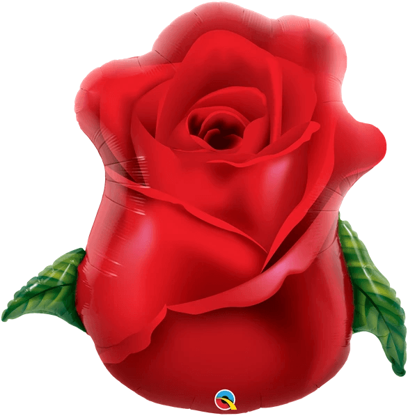 Red Rose Bud