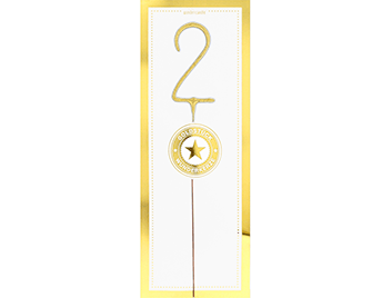 2 gold GIANT Goldstück weiß Wondercandle | Boutique Ballooons